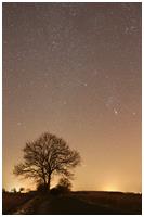 südlicher Sternenhimmel mit Sternbild Orion Januar 2012