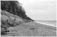 Gespensterwald - Ostseebad Nienhagen