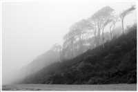 Gespensterwald - Ostseebad Nienhagen