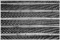 Industrieruine Rostock Petridamm