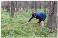 Portraits (Bild: Doris Kölbl)