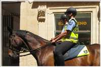 bei der Arbeit (Bild: Doris Kölbl)