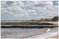 Maritimes