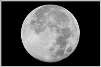 300 mm Brennweite plus 2-fach Canon-Telekonverter