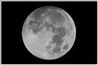 300 mm Brennweite plus 2-fach Canon-Telekonverter