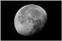 300 mm Brennweite plus 2-fach Canon-Telekonverter