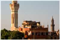 Impressionen von den Ufern des Nils