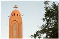 Impressionen von den Ufern des Nils