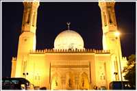 Impressionen von den Ufern des Nils