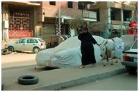 auf den Straßen von Kairo (Foto: Doris Kölbl)