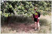 Elbe-Radtour (Bild: Doris Kölbl)