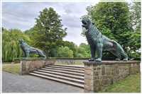 Heide-Radtour (Bild: Doris Kölbl)