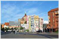 Heide-Radtour (Bild: Doris Kölbl)