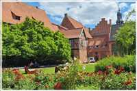 Heide-Radtour (Bild: Doris Kölbl)