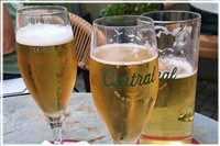 Heide-Radtour (Bild: Doris Kölbl)