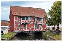 Heide-Radtour (Bild: Doris Kölbl)