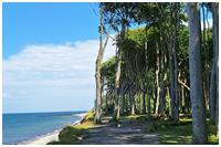 Heide-Radtour (Bild: Doris Kölbl)