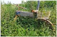 Rügen-Rund (Bild: Doris Kölbl)