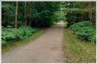 Rügen-Rund (Bild: Doris Kölbl)