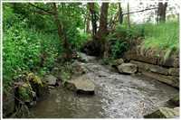 Spree-Radtour (Bild: Doris Kölbl)