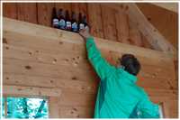 Spree-Radtour (Bild: Doris Kölbl)