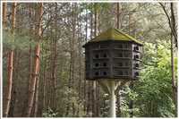 Spree-Radtour (Bild: Doris Kölbl)