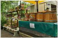 Spree-Radtour (Bild: Gerda Vietze)