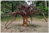 Spree-Radtour (Bild: Doris Kölbl)