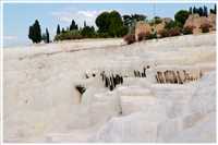 Kalksinterterrassen von Pamukkale
