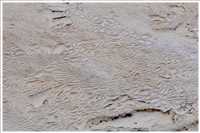 Kalksinterterrassen von Pamukkale