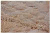 Kalksinterterrassen von Pamukkale