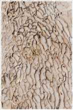 Kalksinterterrassen von Pamukkale