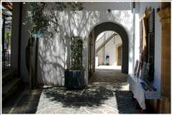 Nikosia