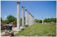Salamis