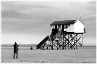 Stelzen (Bild: Doris Kölbl)