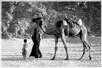 laufend (Bild: Doris Kölbl)