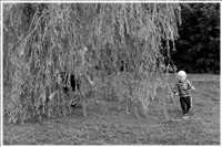 fang mich (Bild: Doris Kölbl)