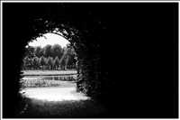Durchblick