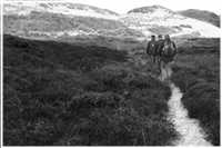 geländegängig (Bild: Doris Kölbl)