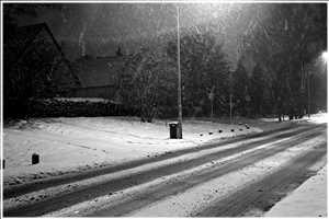 Winter