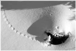 Spuren im Schnee